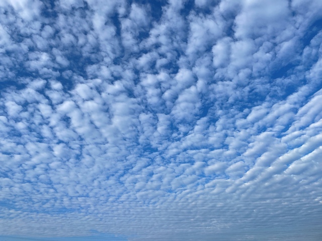 ひつじ雲　うろこ雲